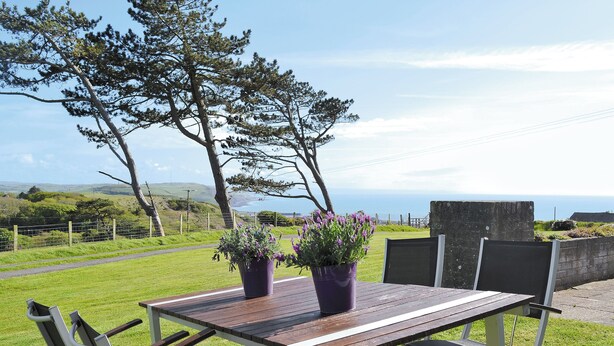 A picnic table with chairs, a flower pot, and a stone wall. - 2 bedroom accommodation in Aberystwyth (Aberystwyth)
