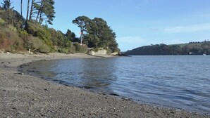 Une plage de galets bordée d’arbres, sous un ciel dégagé.