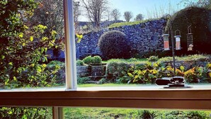 Une vue à travers une fenêtre donnant sur un jardin avec un mur de pierre, différentes plantes et des mangeoires à oiseaux.