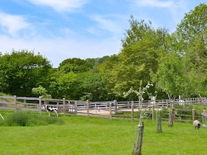 Miscellaneous - Nestled in the Blackdown Hills, this barn is secluded and secure dog-friendly. (Dunkeswell Abbey, near Honiton)