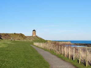 Uklassifisert bilde, 3 av 18, knapp