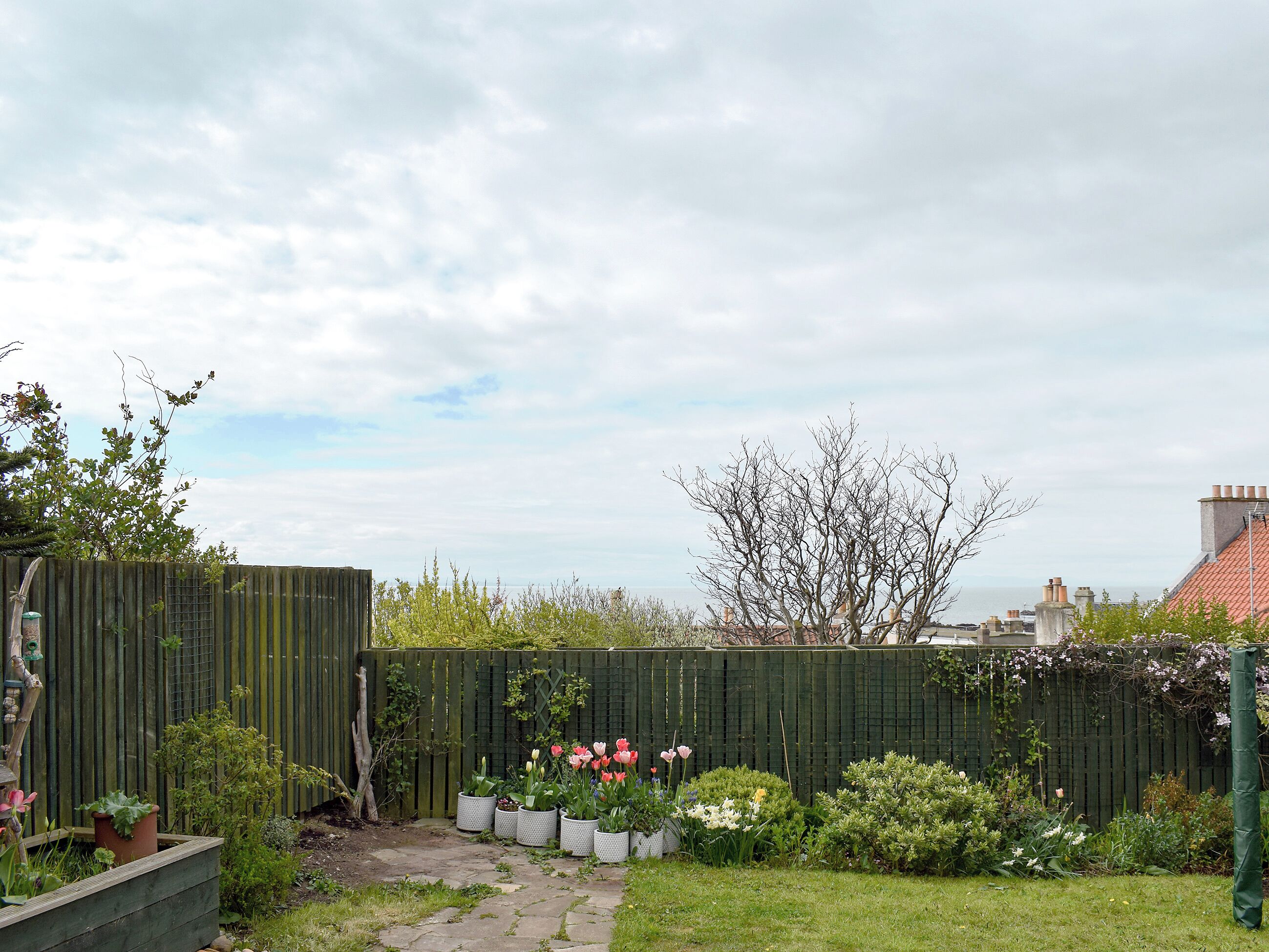 Un jardin avec une clôture en bois, des plantes en pot et un sentier.