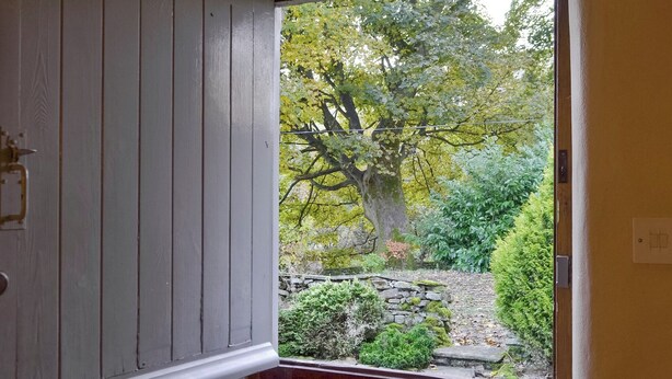 A wooden door with a white painted exterior, leading to a garden with a large tree and stone pathway.