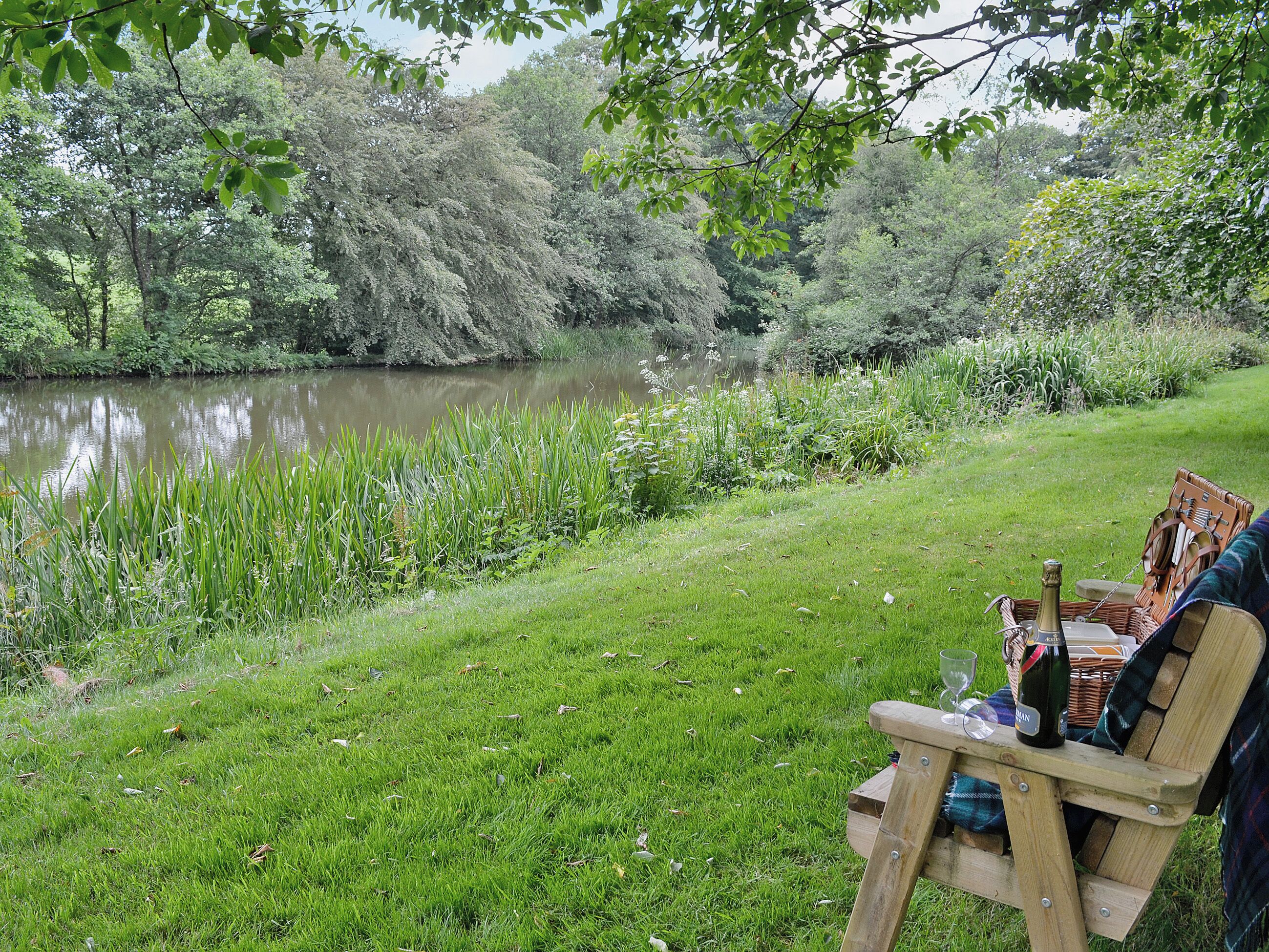 Un banc en bois, agrémenté d’une table de pique-nique, est installé au bord d’une rivière, entouré d’une végétation luxuriante et d’arbres.