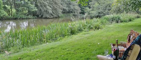 Un banc en bois, agrémenté d’une table de pique-nique, est installé au bord d’une rivière, entouré d’une végétation luxuriante et d’arbres.