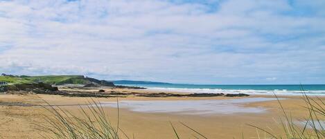 A beach with a grassy foreground and a view of the sea and hills in the background.