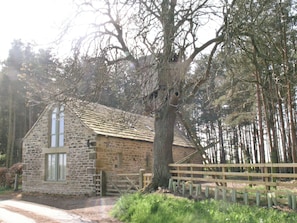 Imagen sin descripción, 5 de 11, botón