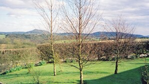 A landscape with three leafless trees in a grassy field, with a mountain range in the background.
