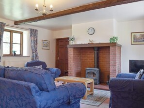 TV, fireplace - Stildon Manor Cottage (Menith Wood)