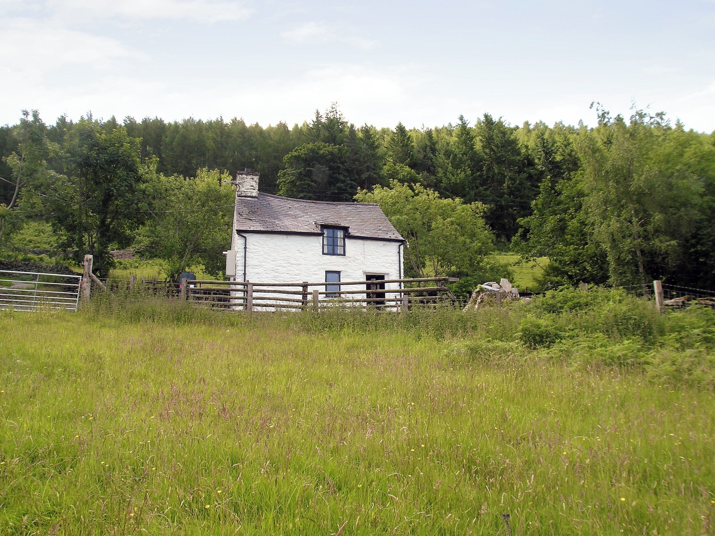 Une maison blanche avec un toit gris, entourée d’une clôture en bois et d’une végétation luxuriante.