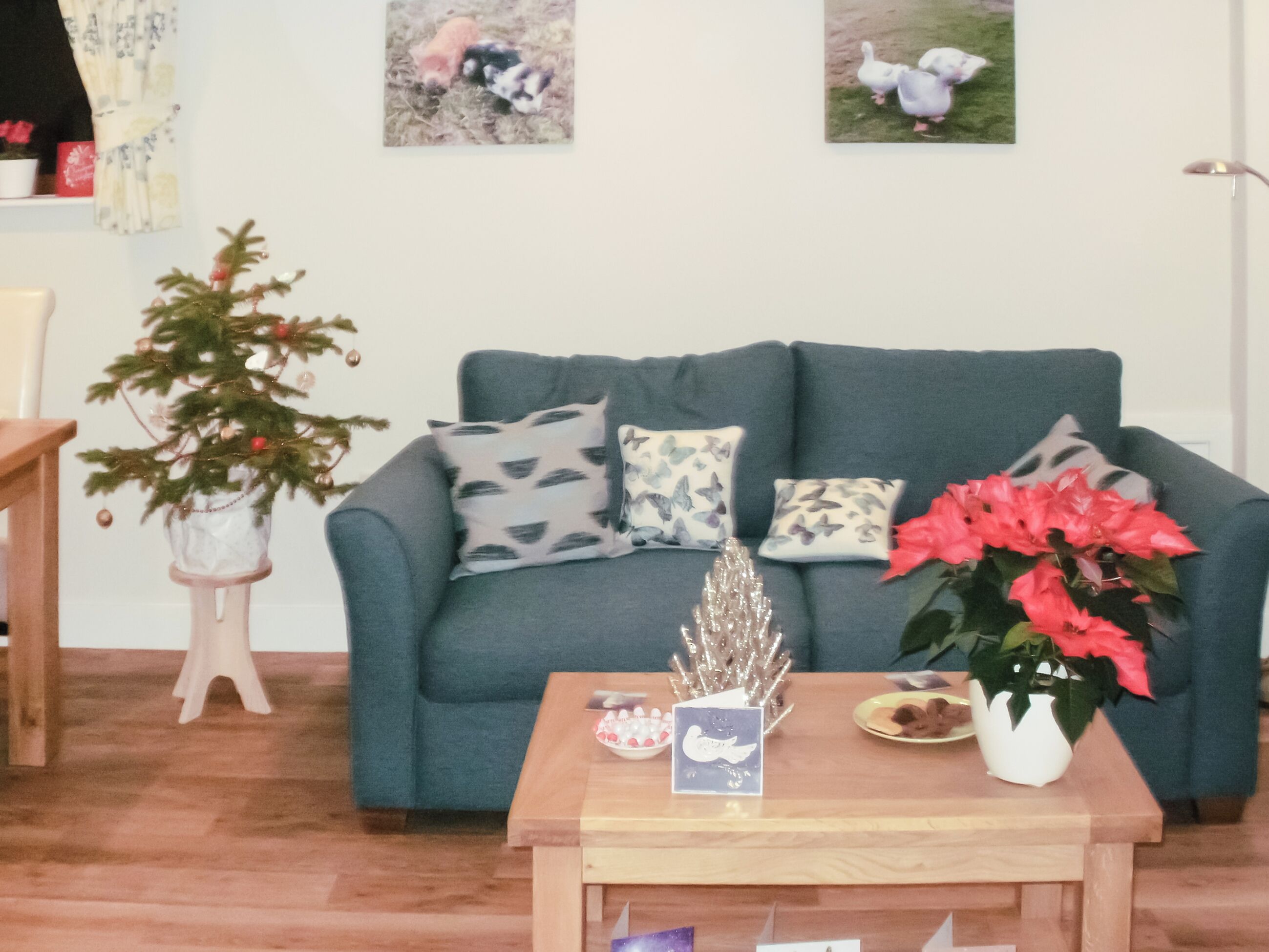Un salon avec un canapé bleu, un petit sapin de Noël et une table sur laquelle se trouvent une carte et une plante.
