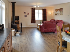 TV, fireplace