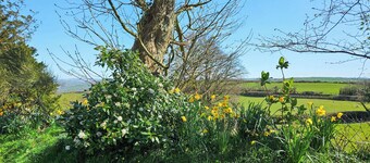 2 bedroom accommodation in Dihewyd, near Aberaeron