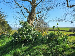Property grounds - 2 bedroom accommodation in Dihewyd, near Aberaeron (Dihewyd, near Aberaeron)