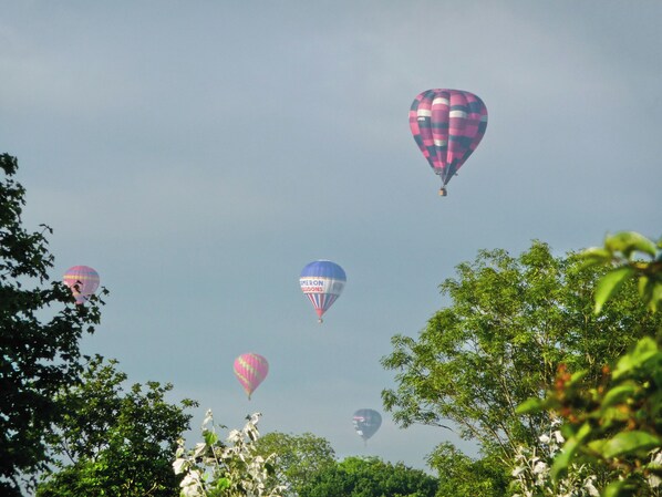 Hot air balloons in the sky with trees in the foreground.