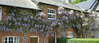 Cider Cottage - E5576