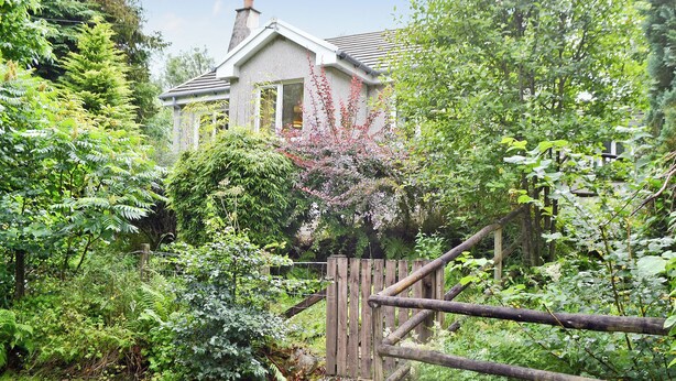 Une maison entourée d’une végétation luxuriante, avec une clôture en bois et un chemin de gravier.