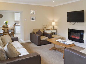 A living room with a fireplace, a television, and a dining area with a table and chairs.