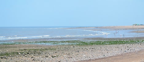 Fiske