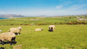 A rural landscape with a grassy field, sheep, and distant houses. - 1 bedroom accommodation in Cilan, near Abersoch (Cilan, near Abersoch)
