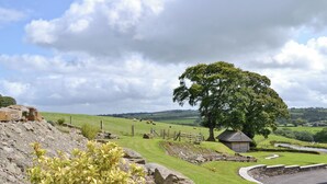 A rural landscape with a large tree, a small building, and a stone wall. - 4 bedroom accommodation in Mydroilyn, near Aberaeron (Mydroilyn, near Aberaeron)