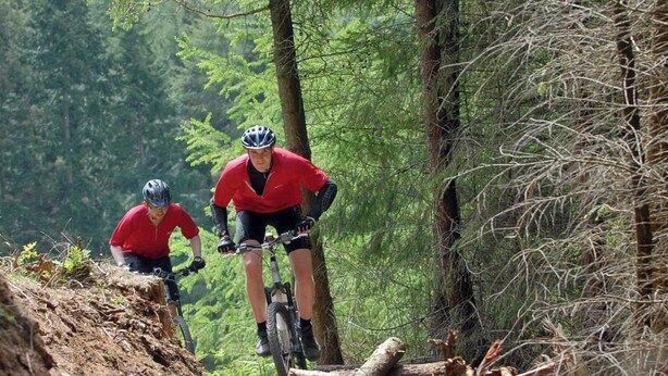 Two cyclists on a forest trail. - 3 bedroom accommodation in Pickering (Pickering)