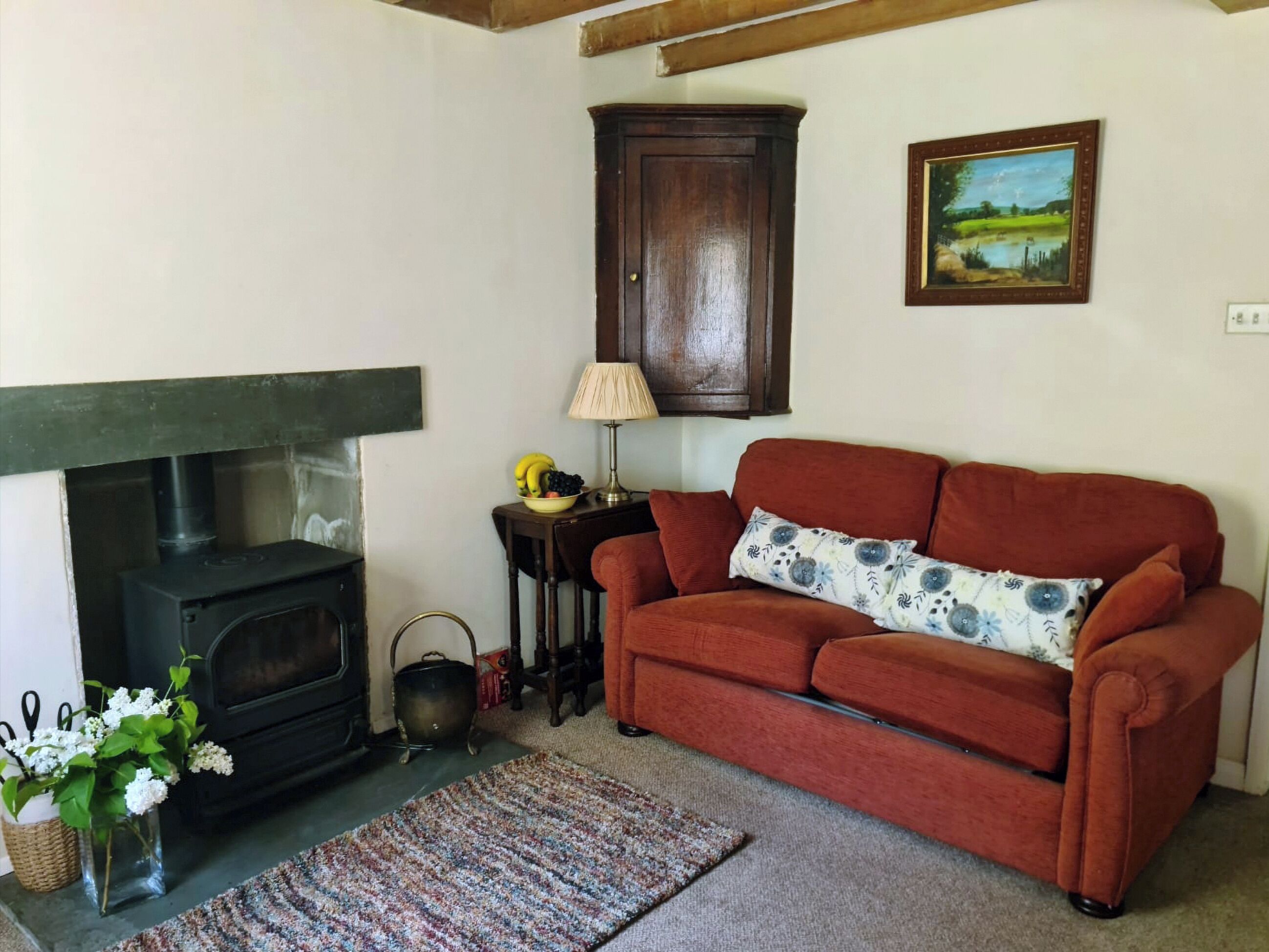 TV, fireplace