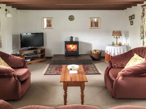 TV, fireplace - 2 bedroom accommodation in Penrherber, Newcastle Emlyn (Penrherber, Newcastle Emlyn)