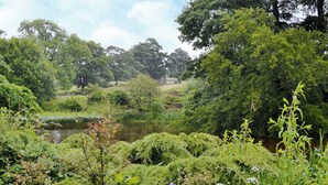 A lush garden with a pond, dense greenery, and a variety of plants and flowers. - Langcliffe Lock Cottage (Langcliffe, near Settle)