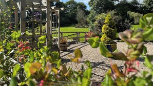 A wooden pergola structure in a garden with gravel paths and various plants.