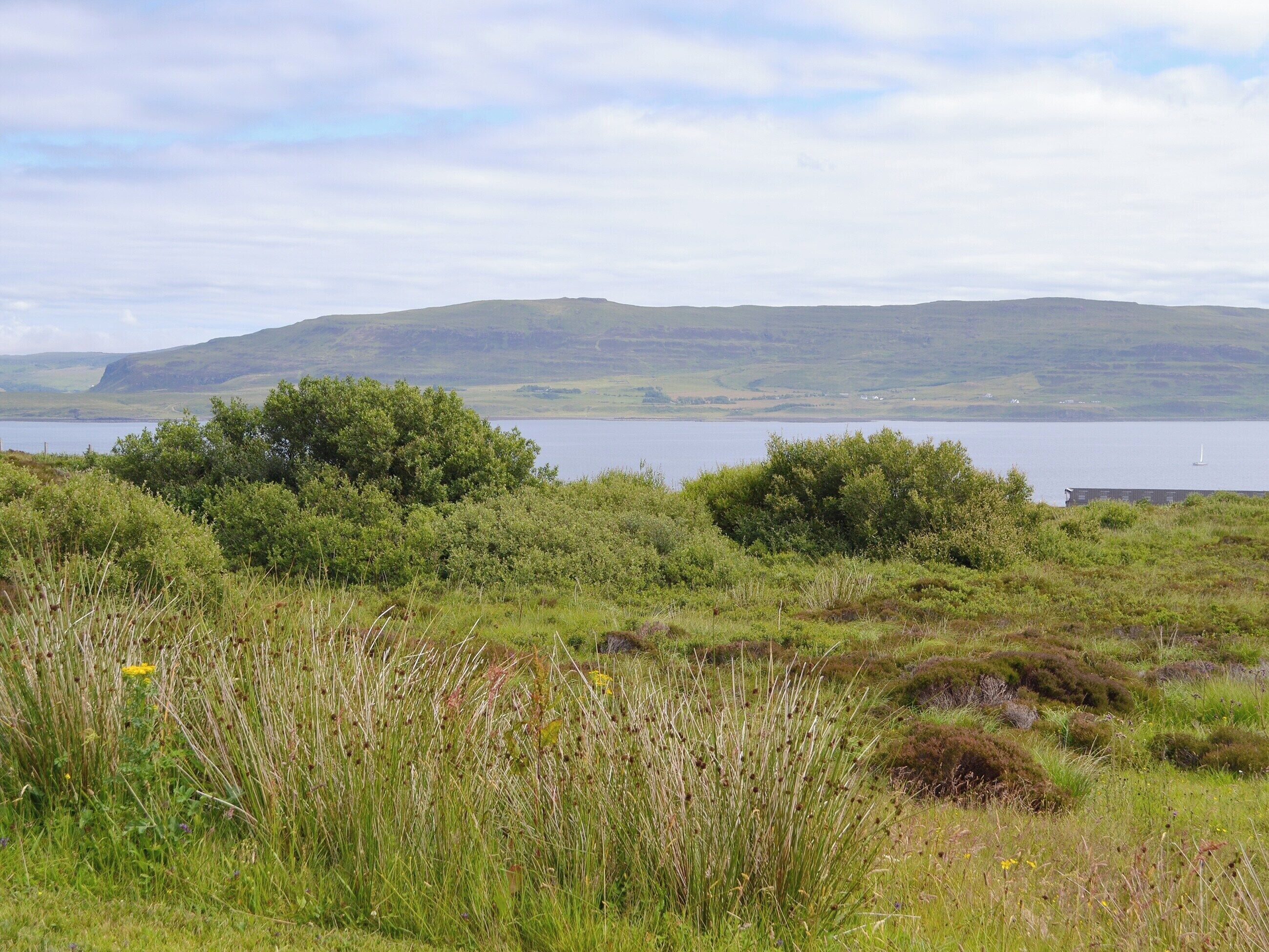 A natural landscape with a lake, hills, and dense vegetation.