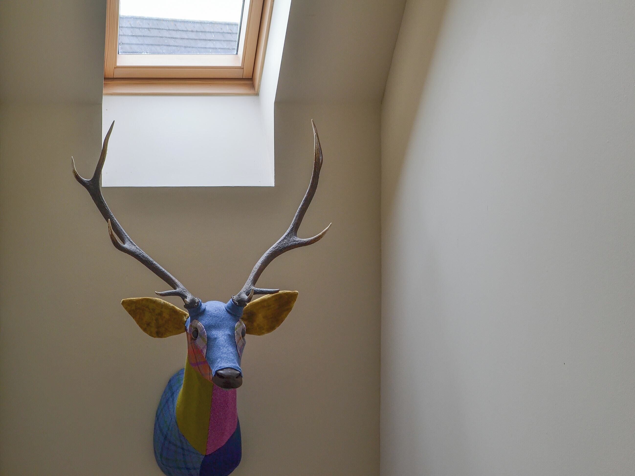 A deer head mounted on a wall with a skylight above.