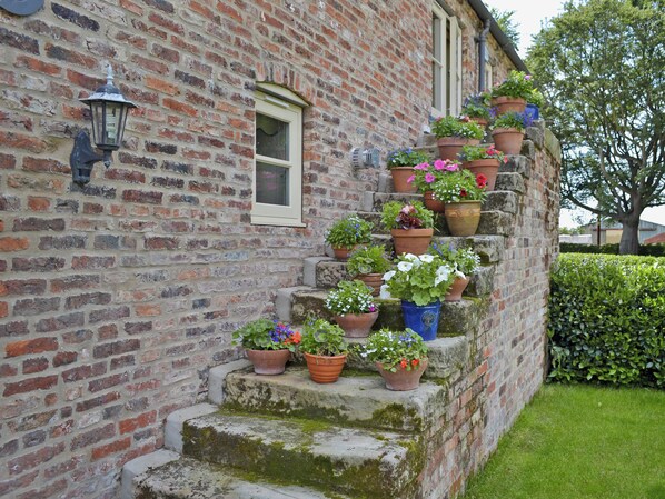 Terrein van de accommodatie