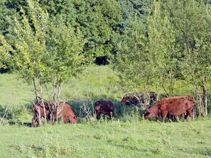 Miscellaneous - 2 bedroom accommodation in Pembury, near Tunbridge Wells (Pembury, near Tunbridge Wells)