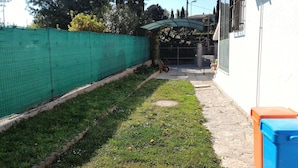 Un sendero estrecho que conduce a una entrada con portón, rodeado por una cerca verde y un edificio blanco con un ventanal visible.