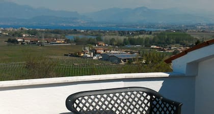 Lake Garda: penthouse garden with lake view in Peschiera GRADITI ANIMALS