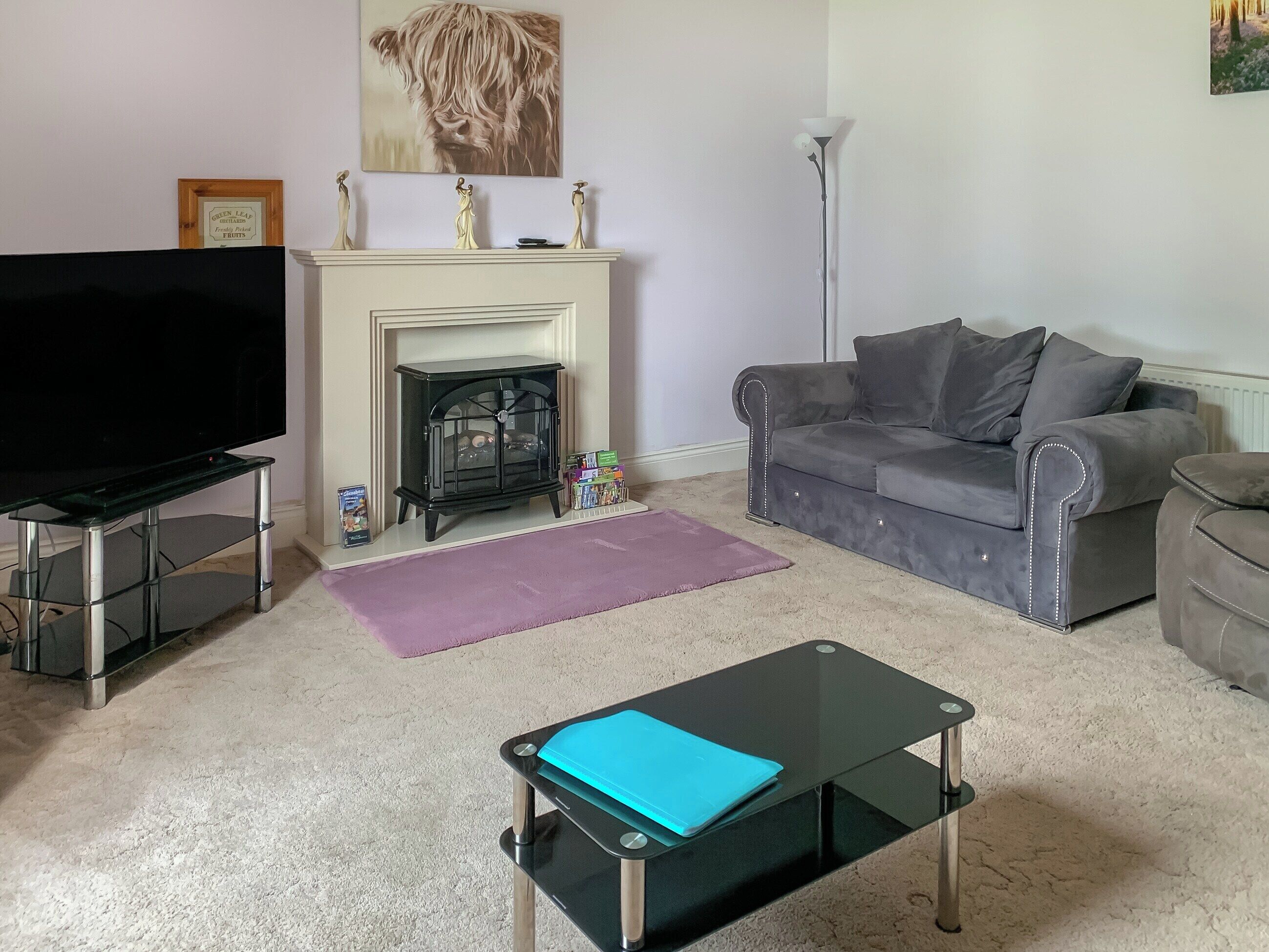 TV