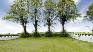 A grassy field with three large trees and a white fence.