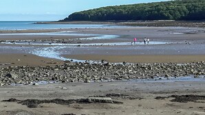 Una playa con terreno rocoso y una colina boscosa al fondo.