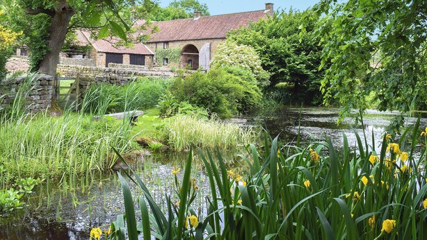 A rustic stone building with a tiled roof, surrounded by lush greenery and a pond with yellow flowers. - 0 bedroom accommodation in Glaisdale, near Whitby (Glaisdale, near Whitby)