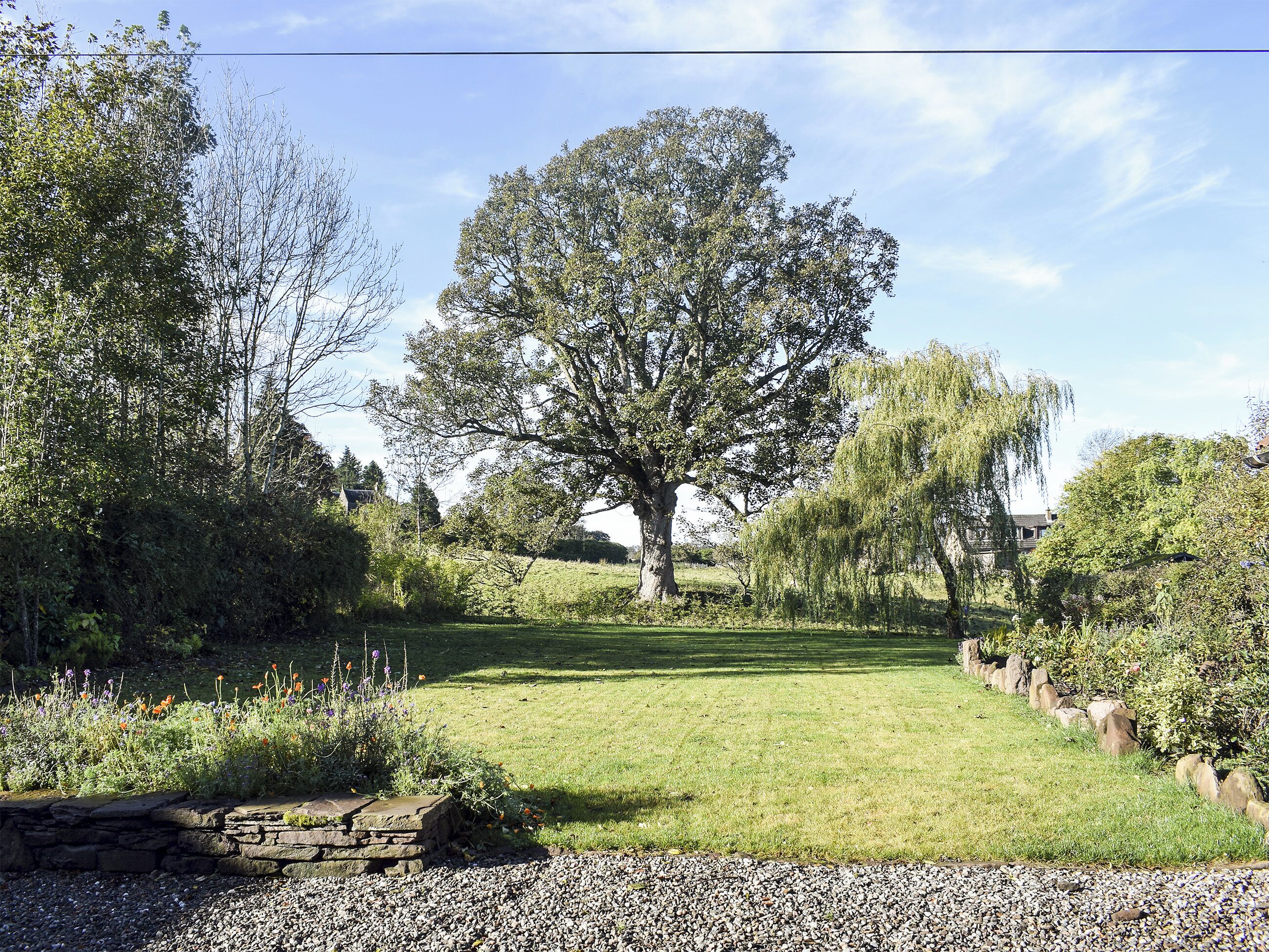 Un jardin avec un grand arbre, un mur de pierre et une zone herbeuse.