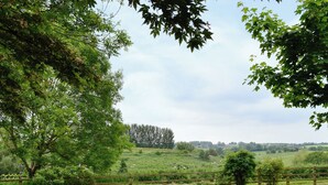 Paisaje rural con valla de madera, vegetación exuberante y una línea de árboles distante.