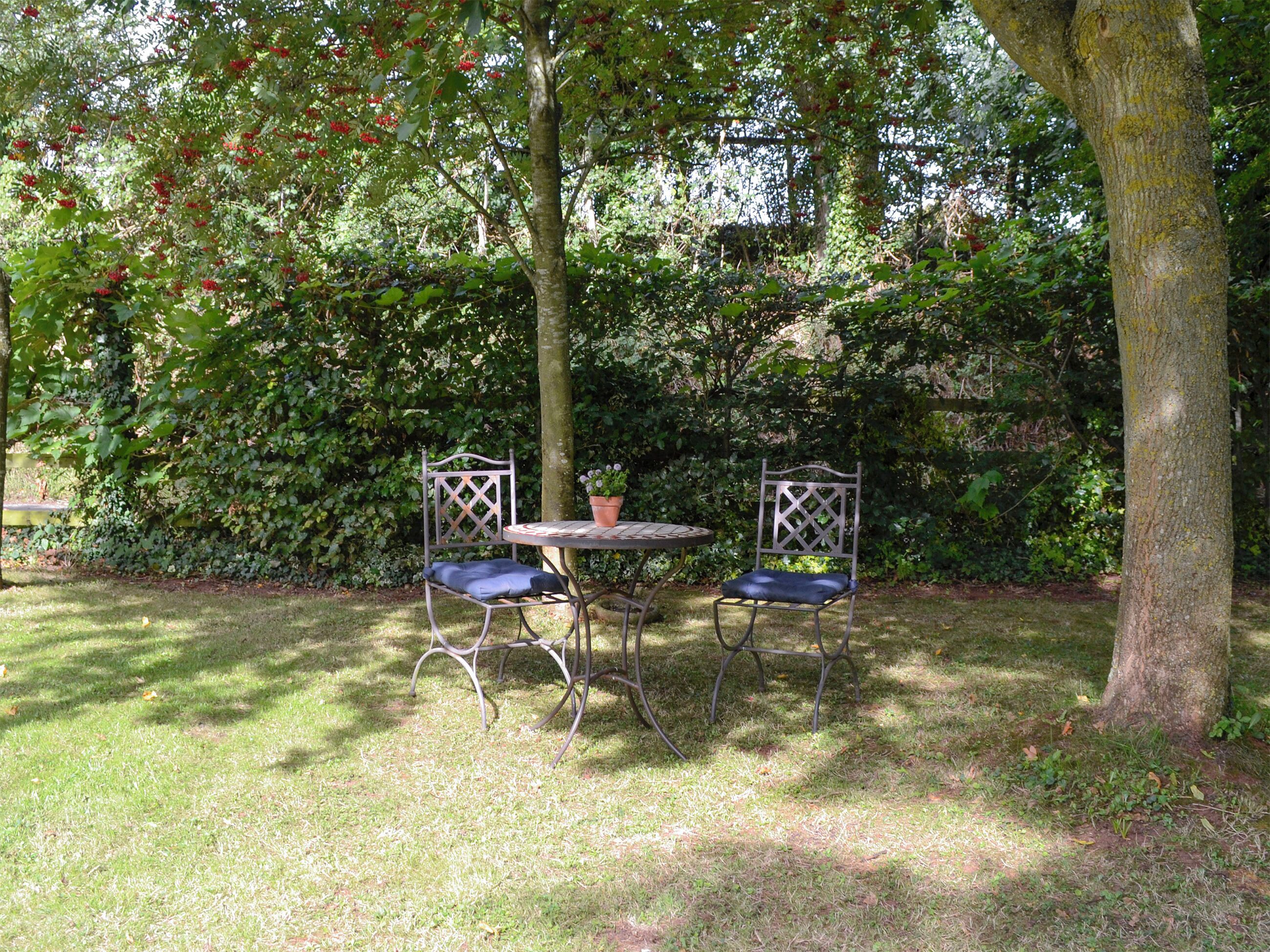 A garden with a metal table and two chairs, surrounded by lush greenery and a tree.