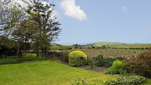 Paisaje rural con un campo cubierto de hierba, un seto y un árbol.