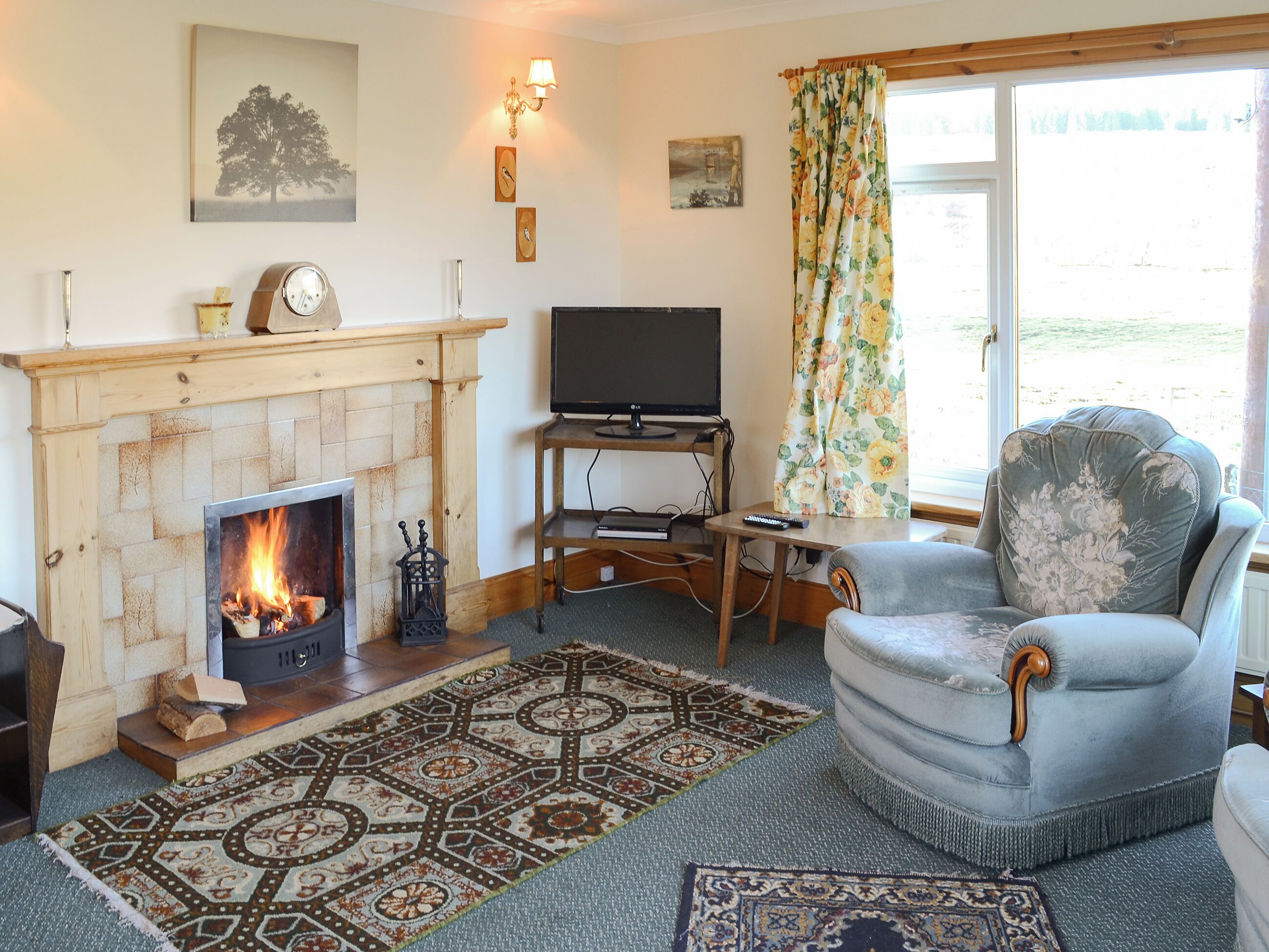 TV, fireplace
