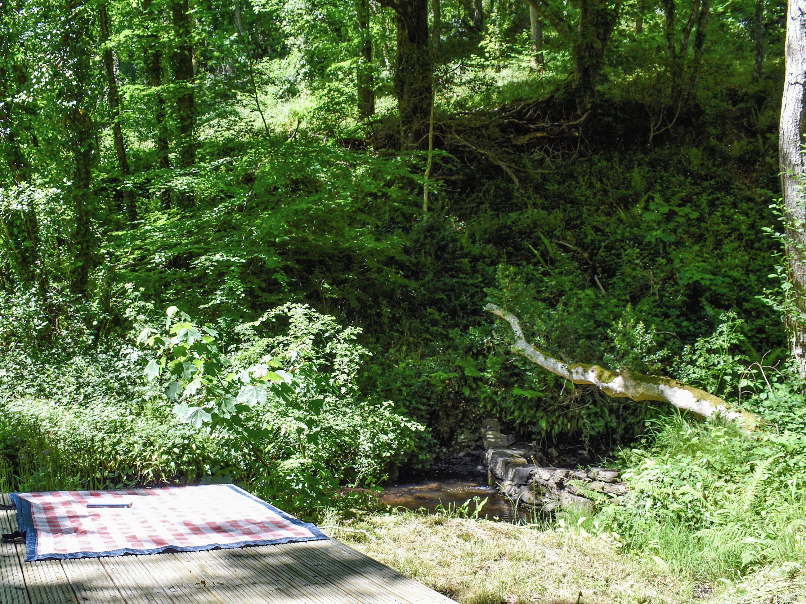 Een picknickopstelling met een deken en schoenen op een houten terras, omgeven door dicht bos.