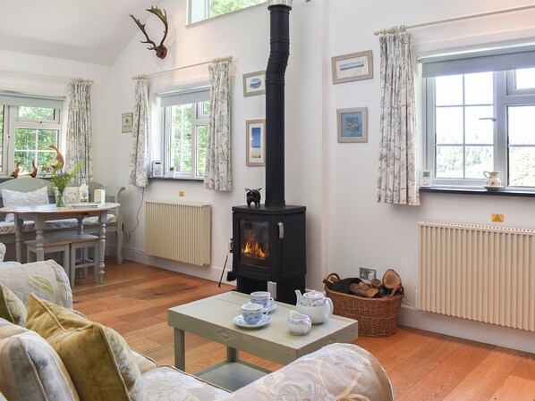 A cozy living room with a fireplace, wooden furniture, and a view of the outdoors.