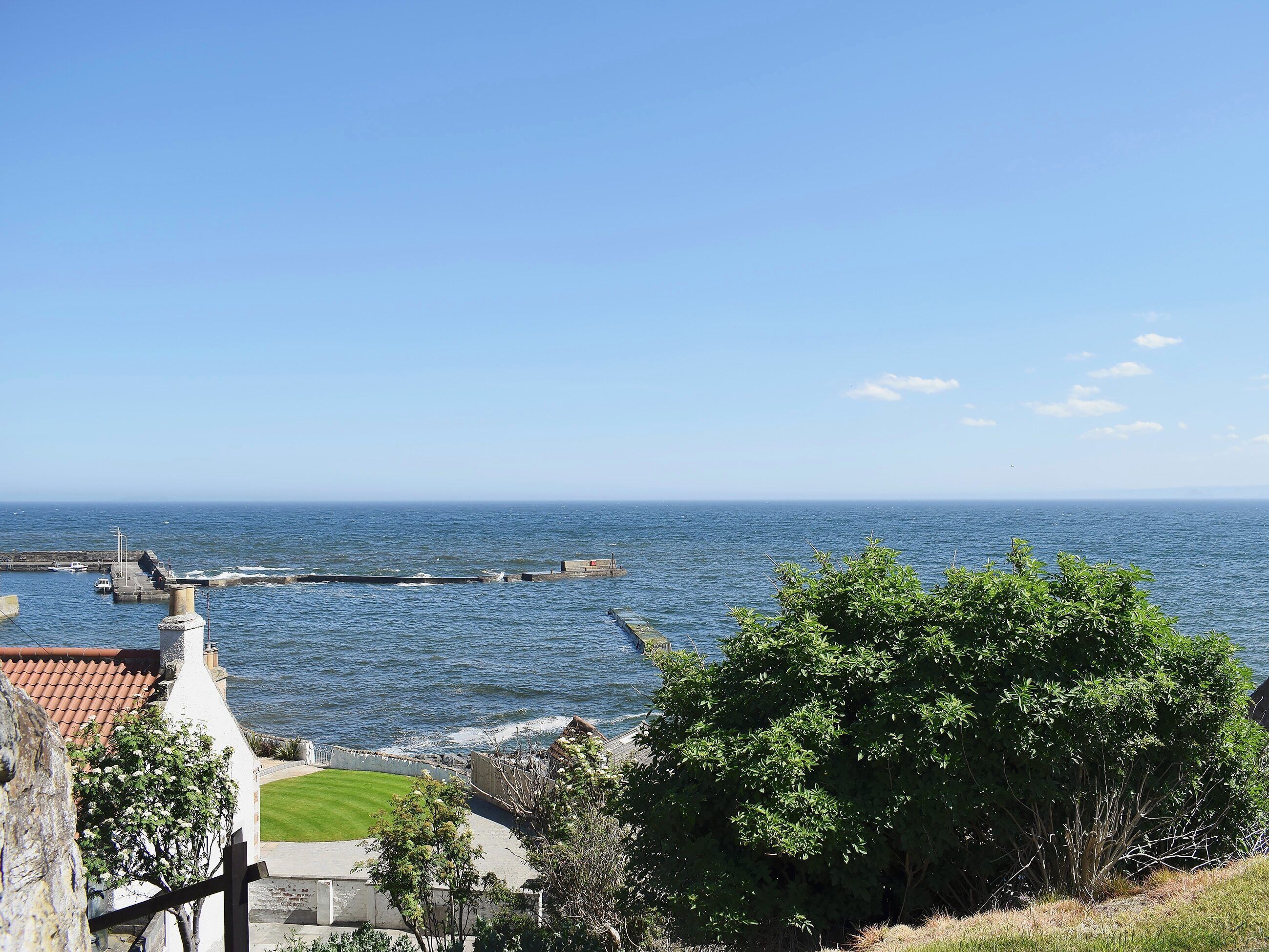 A coastal view with a clear sky, a dock, and a grassy area with trees.