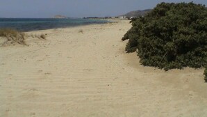 Una playa arenosa con un arbusto grande a la derecha y una vista despejada del océano.