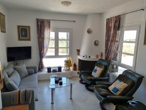 Télévision, cheminée, lecteur de DVD, livres